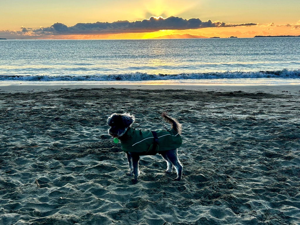 Waterproof Jacket - Green