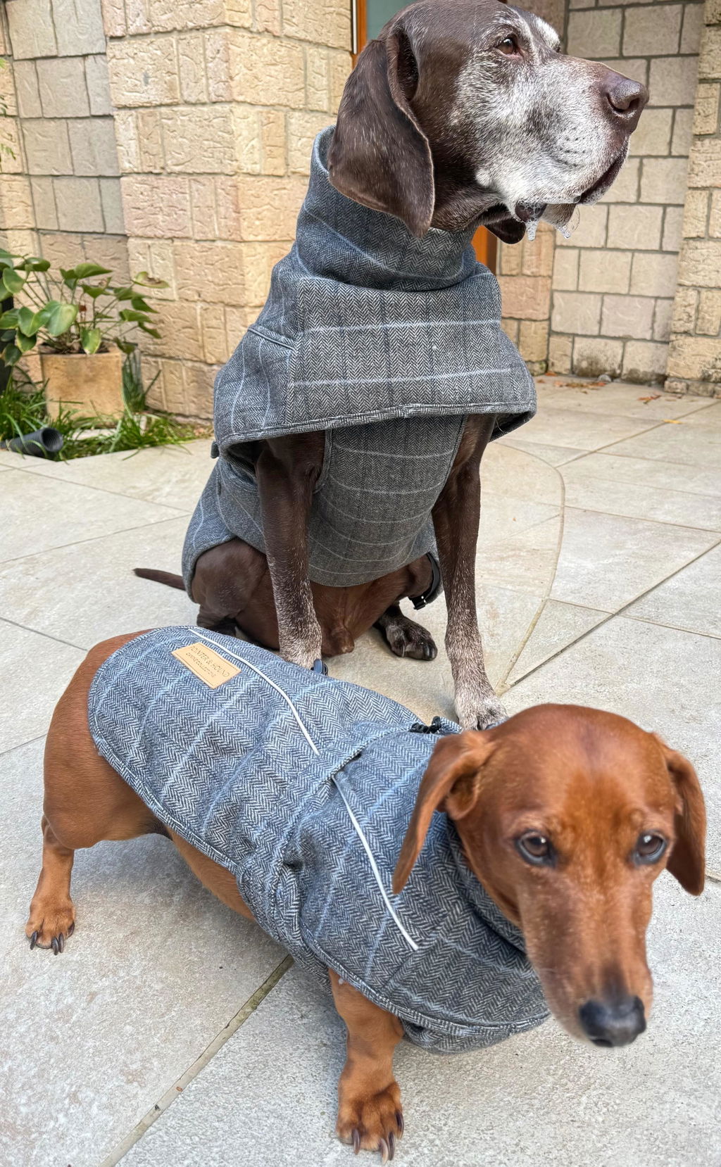 Highland Coat - Grey
