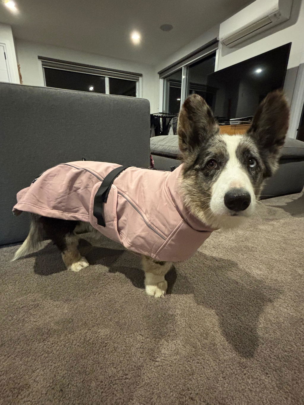 Waterproof Jacket - Pink