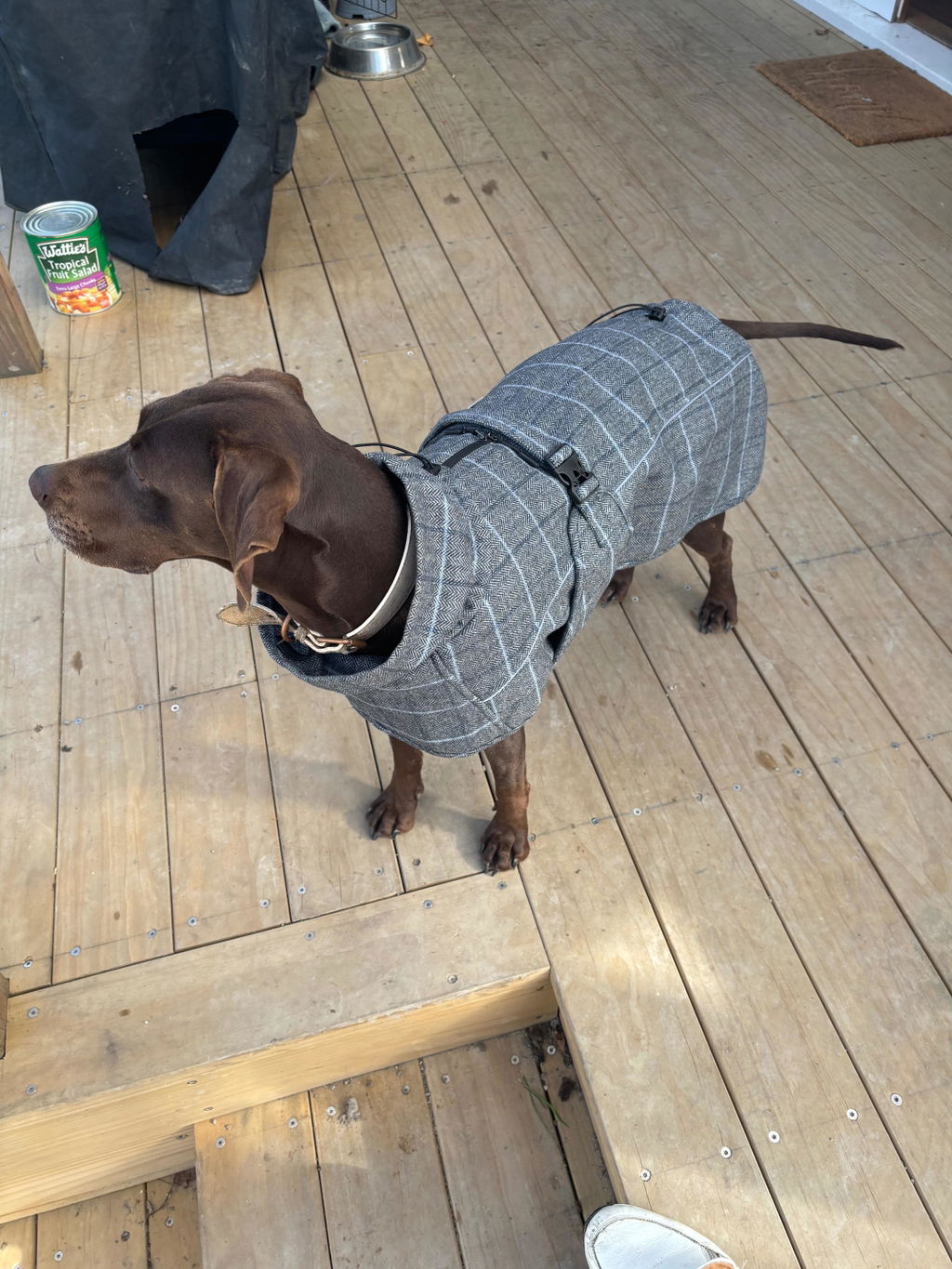 Highland Coat - Grey
