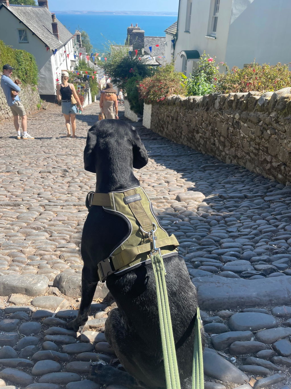 Tactical Harness - Army Green