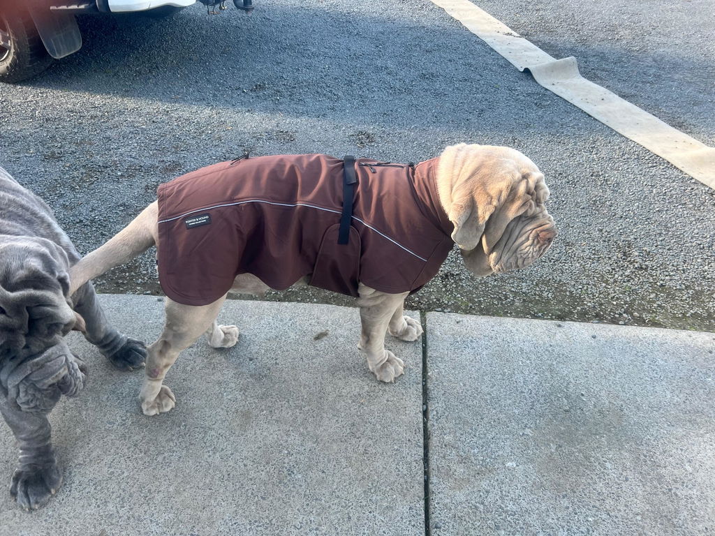 Waterproof Jacket - Maroon Brown