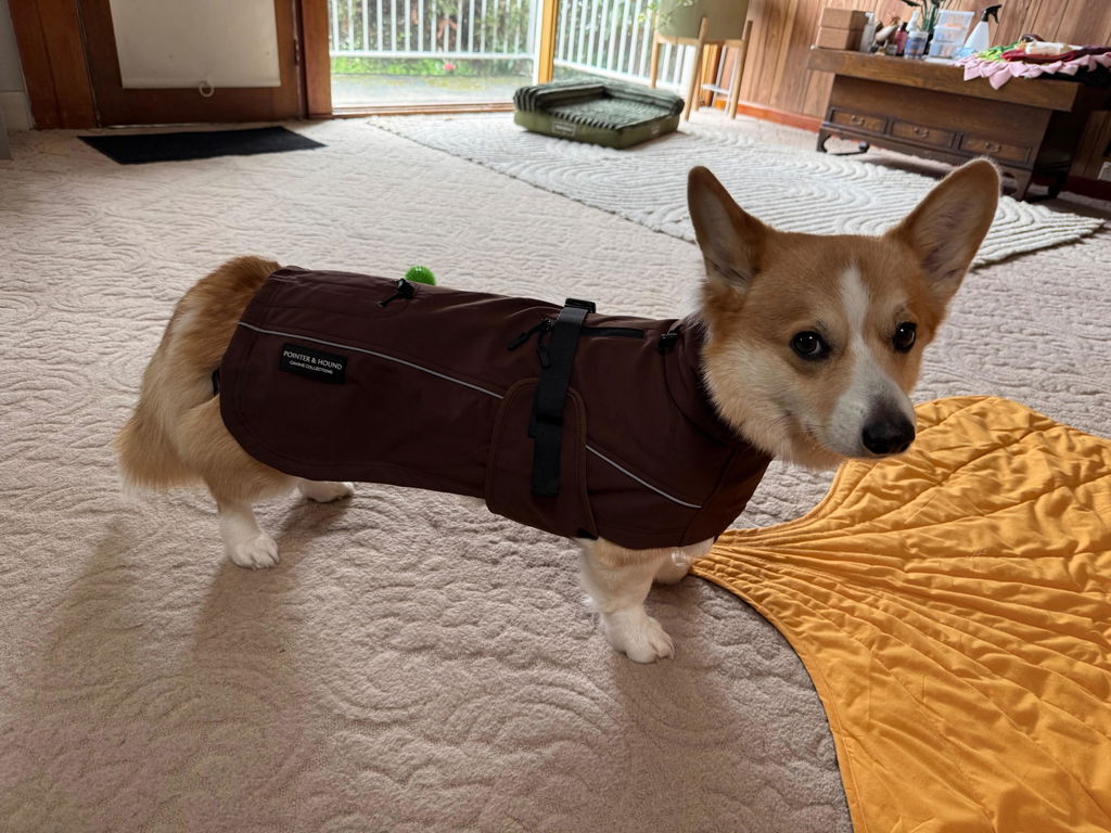 Waterproof Jacket - Maroon Brown