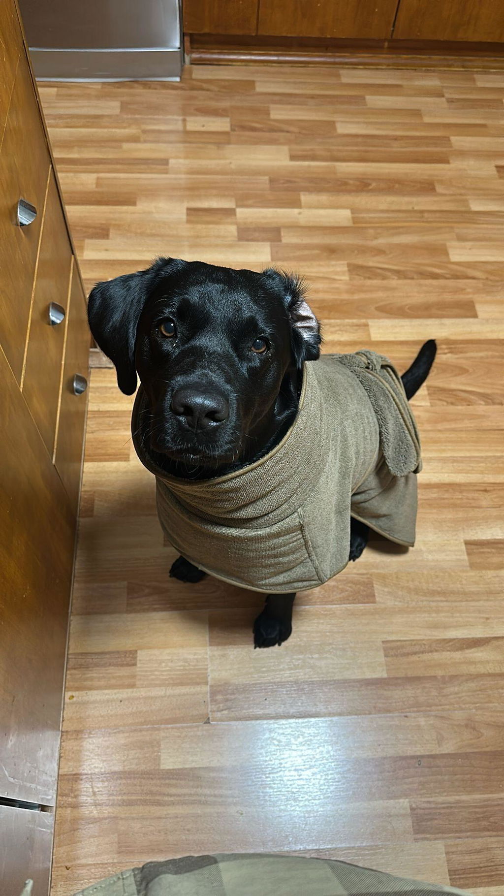 Drying Coat