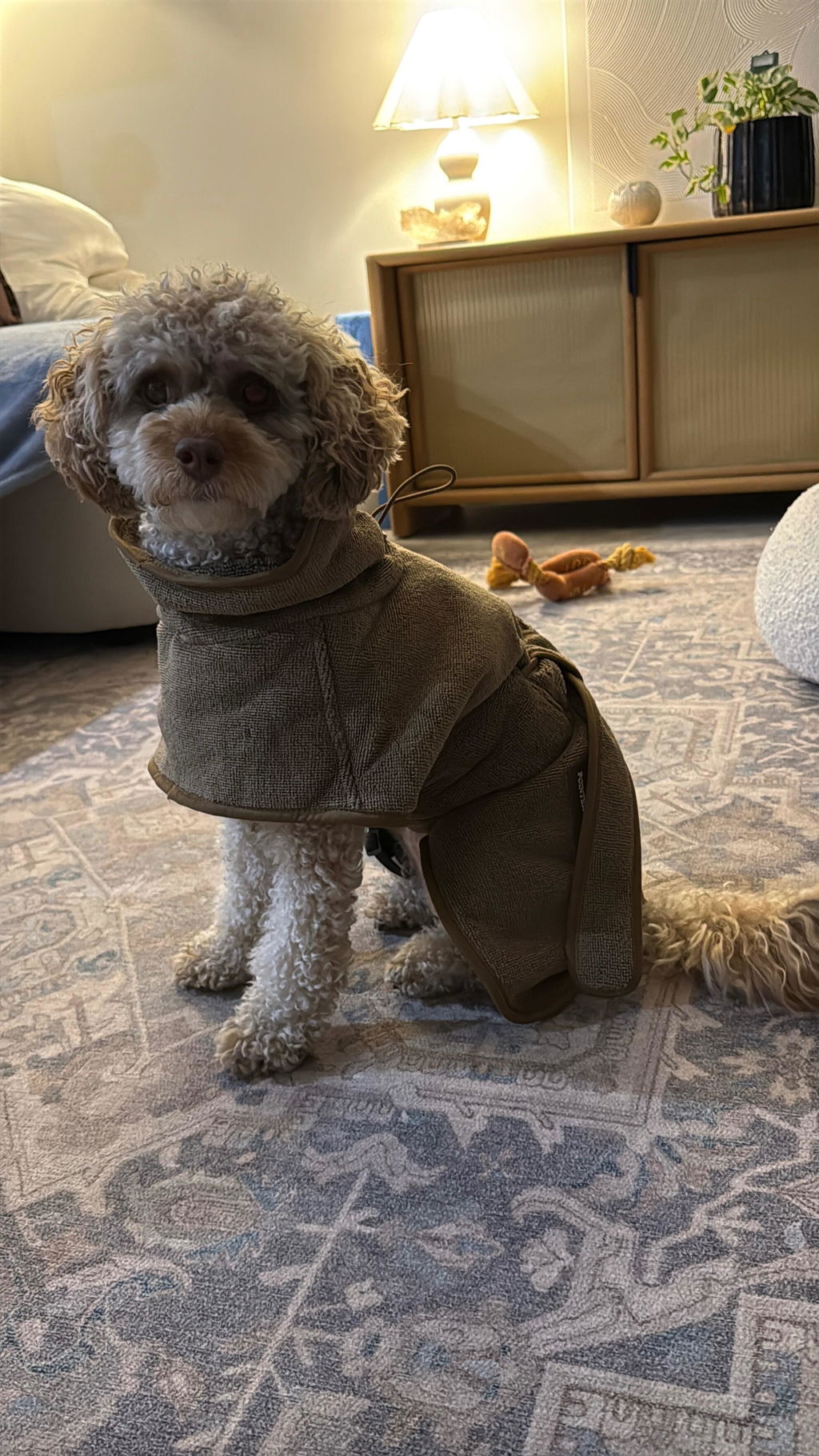 Drying Coat