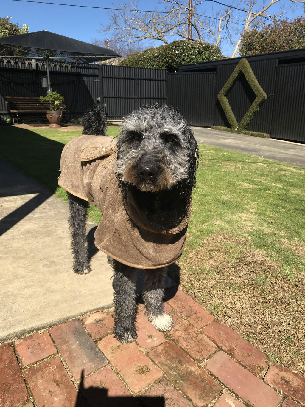 Drying Coat