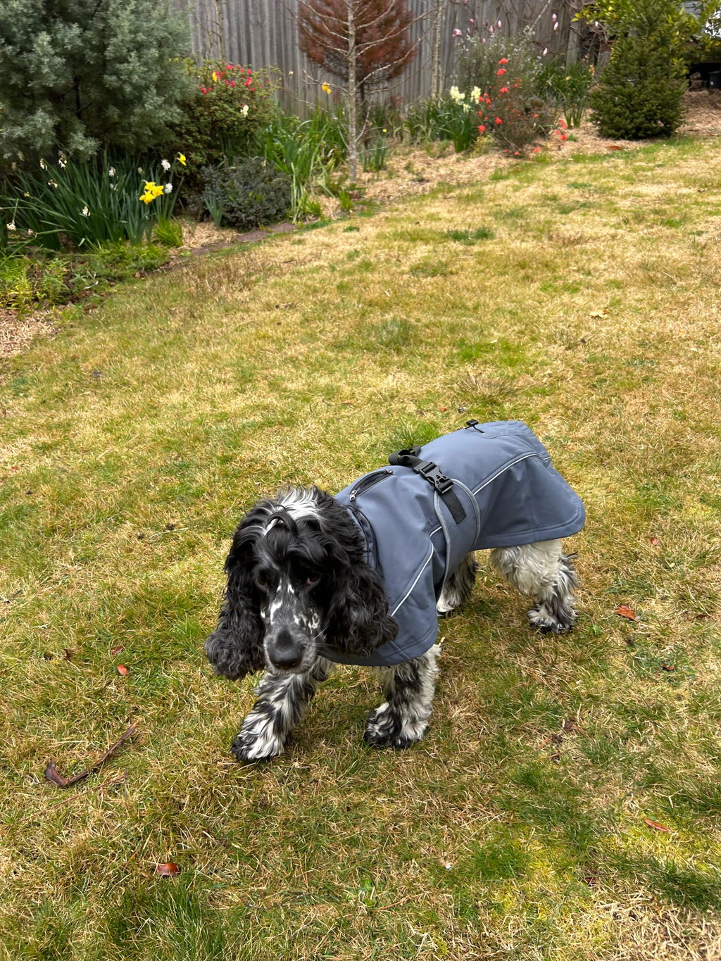 Waterproof Jacket - Slate Blue