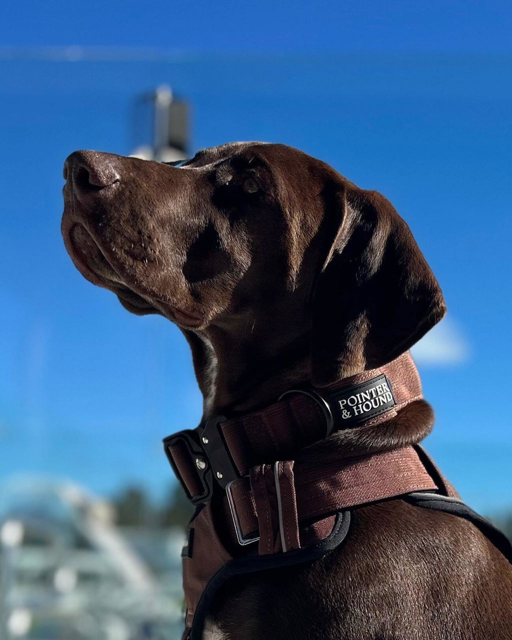 Tactical Harness - Maroon Brown