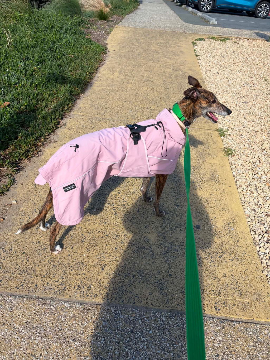 Waterproof Jacket - Pink