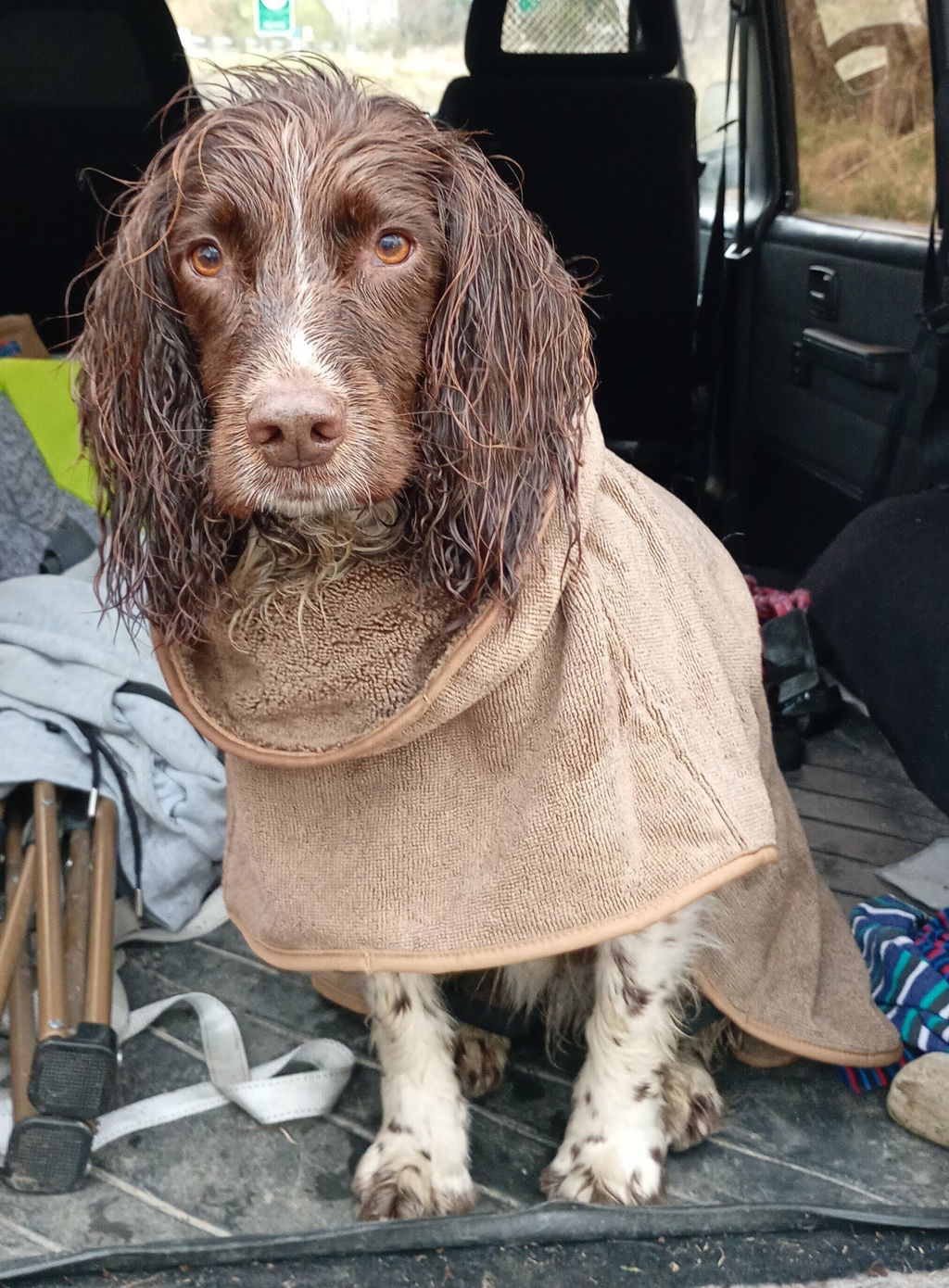 Drying Coat