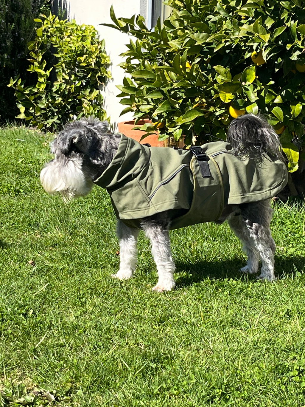 Waterproof Jacket - Green