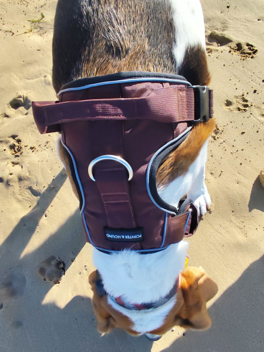 Tactical Harness - Maroon Brown