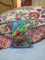 Shining_star_75 review photo