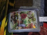 Thepokemon_guy review photo