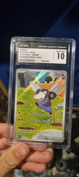 Joel P. review photo