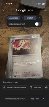 Leo L.I. review photo