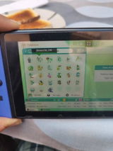 Adria Valls review photo