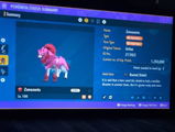 dom gobbo review photo