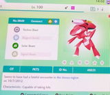 Charlotte M review photo