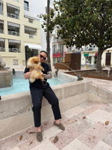 Pom D'Azur