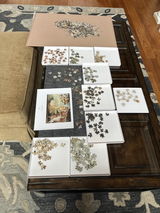 Kimberly Helton review photo