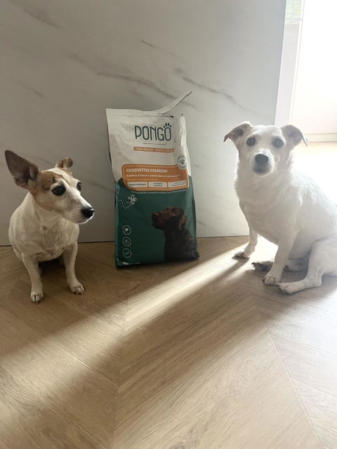 Croquettes aux insectes & poisson blanc | Hypoallergéniques | Sans céréales | Chiens Adulte