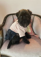 Nigella the Griffon review photo