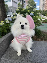 Bomi review photo
