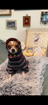 Udonnoodlethechi review photo