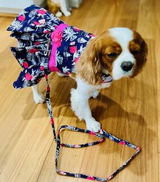 Linka Crosby review photo