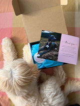 Olivia / Marley the Cavoodle review photo