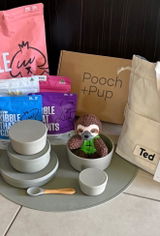 Ted review photo