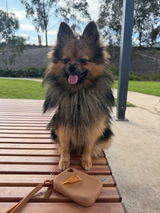 Baxter review photo