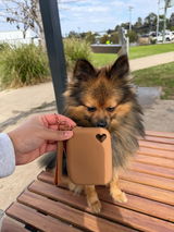 Baxter review photo
