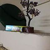 Pragati review photo