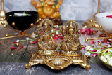 bhavika review photo