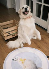 HavanesePawMom review photo