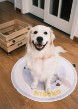 HavanesePawMom review photo