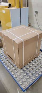 Lisa M. review photo