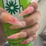 Lily review photo