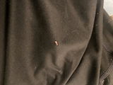 Elly H. review photo