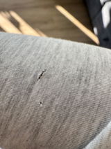 Jas review photo