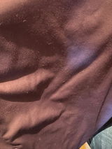 Paola B. review photo