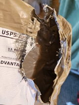 Samantha M. review photo
