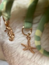 Smileylana review photo