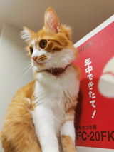 匿名 review photo