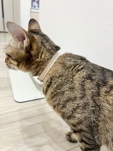 まる review photo