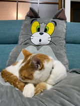 著名 review photo