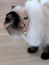 etsuko review photo