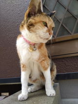 幸子 山口 review photo